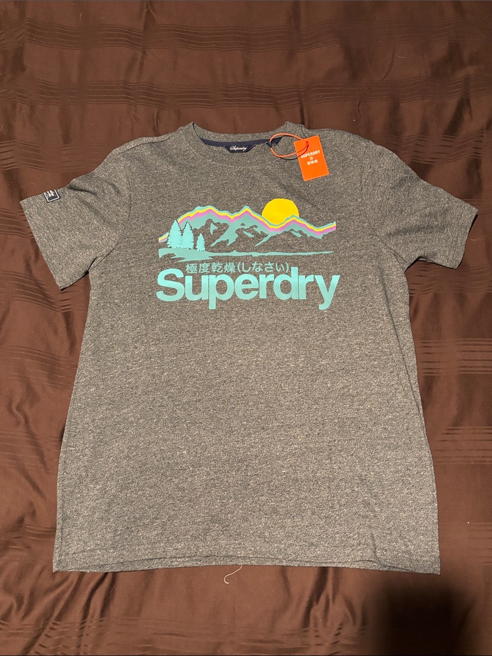Superdry Grey Tee with Turquoise Logo and Sunset Graphic